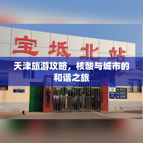 天津旅游攻略，核酸與城市的和諧之旅
