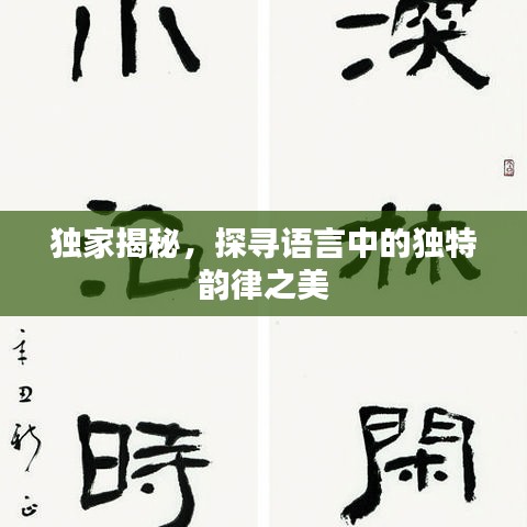 獨(dú)家揭秘，探尋語(yǔ)言中的獨(dú)特韻律之美