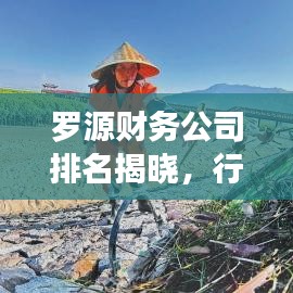 羅源財(cái)務(wù)公司排名揭曉，行業(yè)影響力不容小覷