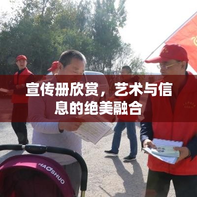 宣傳冊欣賞，藝術(shù)與信息的絕美融合