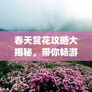 公司簡介 第288頁