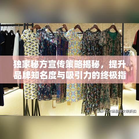 獨家秘方宣傳策略揭秘，提升品牌知名度與吸引力的終極指南