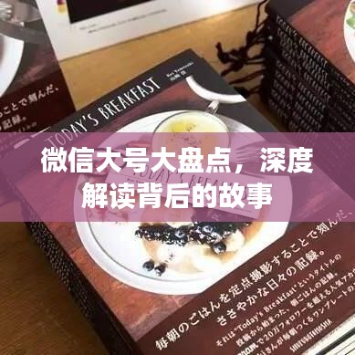 微信大號大盤點，深度解讀背后的故事