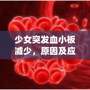 少女突發(fā)血小板減少，原因及應(yīng)對方法解析