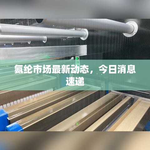 氨綸市場最新動態(tài)，今日消息速遞