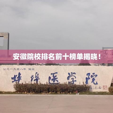 安徽院校排名前十榜單揭曉！