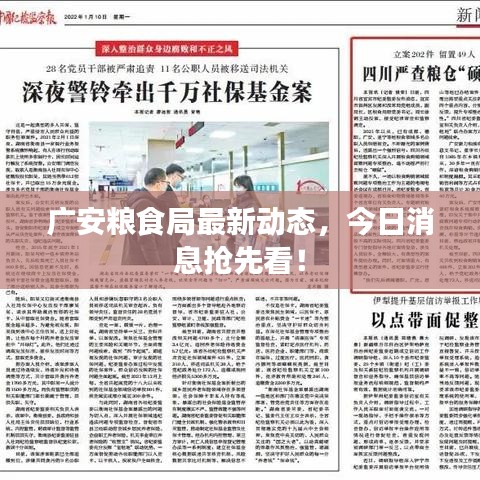 廣安糧食局最新動態(tài)，今日消息搶先看！