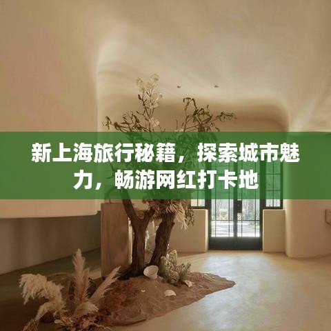 新上海旅行秘籍，探索城市魅力，暢游網(wǎng)紅打卡地