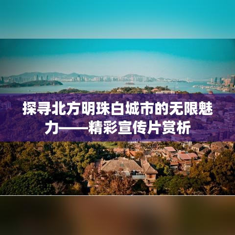探尋北方明珠白城市的無(wú)限魅力——精彩宣傳片賞析