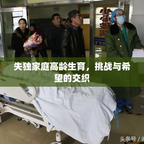 失獨家庭高齡生育，挑戰(zhàn)與希望的交織