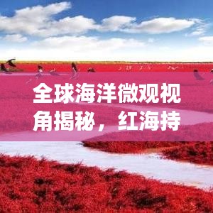 全球海洋微觀視角揭秘，紅海持續(xù)擴(kuò)張的神秘力量