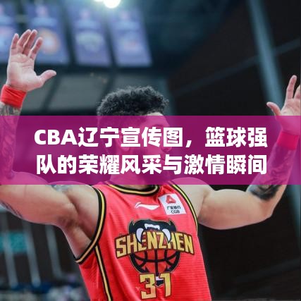 CBA遼寧宣傳圖，籃球強(qiáng)隊(duì)的榮耀風(fēng)采與激情瞬間