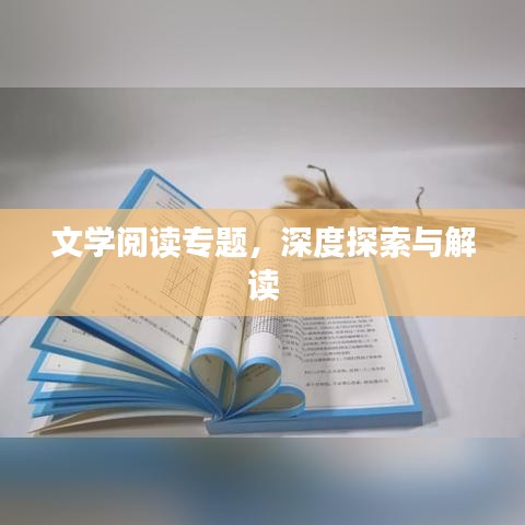 文學(xué)閱讀專題，深度探索與解讀