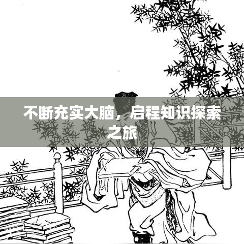 不斷充實大腦，啟程知識探索之旅