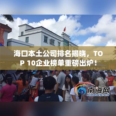 海口本土公司排名揭曉，TOP 10企業(yè)榜單重磅出爐！