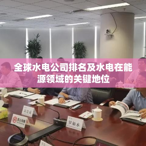 全球水電公司排名及水電在能源領(lǐng)域的關(guān)鍵地位