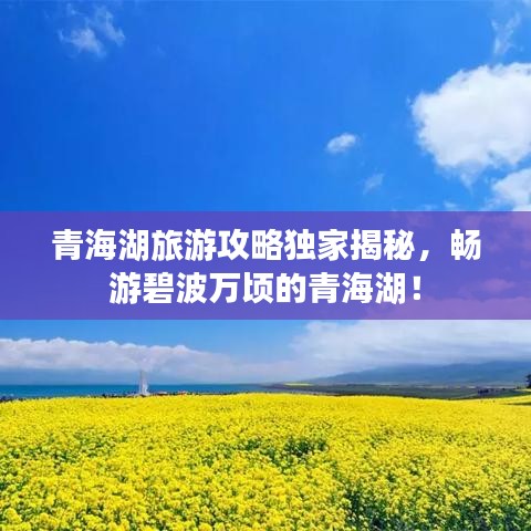 青海湖旅游攻略獨家揭秘，暢游碧波萬頃的青海湖！
