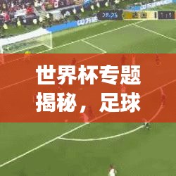 世界杯專題揭秘，足球盛宴背后的故事與傳奇之旅