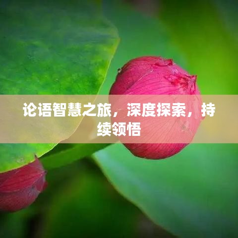 論語智慧之旅，深度探索，持續(xù)領(lǐng)悟