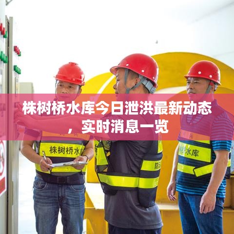 株樹橋水庫今日泄洪最新動態(tài)，實時消息一覽