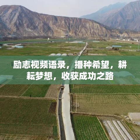 勵(lì)志視頻語(yǔ)錄，播種希望，耕耘夢(mèng)想，收獲成功之路
