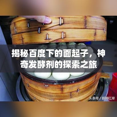 揭秘百度下的面起子，神奇發(fā)酵劑的探索之旅