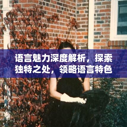 語言魅力深度解析，探索獨(dú)特之處，領(lǐng)略語言特色專題的魅力
