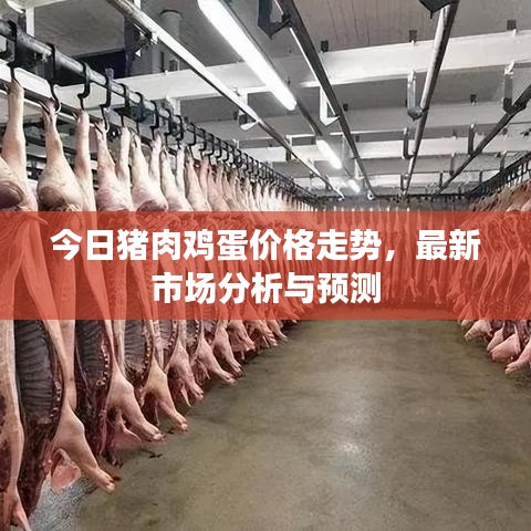 今日豬肉雞蛋價格走勢，最新市場分析與預測