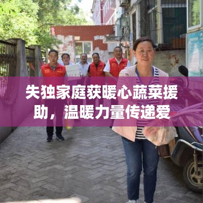 失獨(dú)家庭獲暖心蔬菜援助，溫暖力量傳遞愛