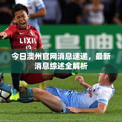 今日澳州官網(wǎng)消息速遞，最新消息綜述全解析