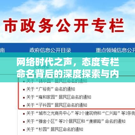 網(wǎng)絡(luò)時(shí)代之聲，態(tài)度專欄命名背后的深度探索與內(nèi)涵解析