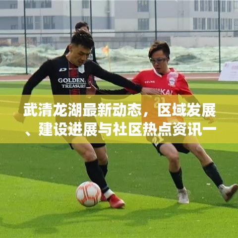 武清龍湖最新動態(tài)，區(qū)域發(fā)展、建設進展與社區(qū)熱點資訊一網(wǎng)打盡