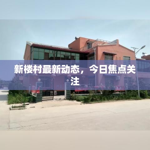 新樓村最新動態(tài)，今日焦點關注