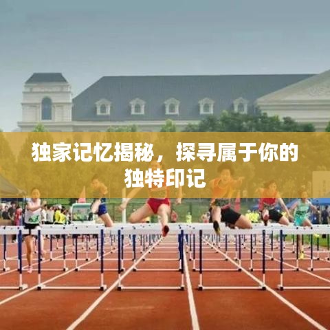 獨(dú)家記憶揭秘，探尋屬于你的獨(dú)特印記