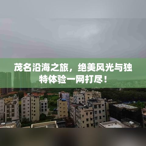 茂名沿海之旅，絕美風(fēng)光與獨(dú)特體驗(yàn)一網(wǎng)打盡！