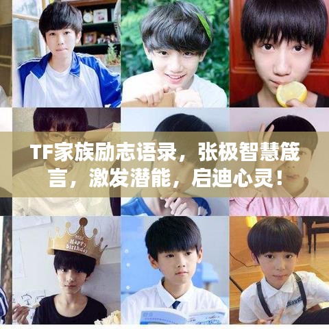 TF家族勵志語錄，張極智慧箴言，激發(fā)潛能，啟迪心靈！
