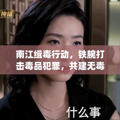 南江緝毒行動(dòng)，鐵腕打擊毒品犯罪，共建無(wú)毒和諧社會(huì)