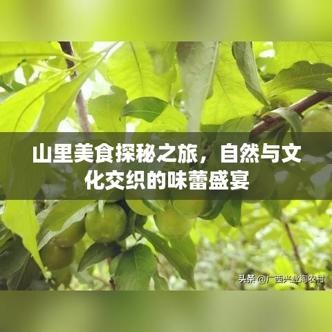 公司簡介 第275頁