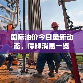 國際油價今日最新動態(tài)，停牌消息一覽