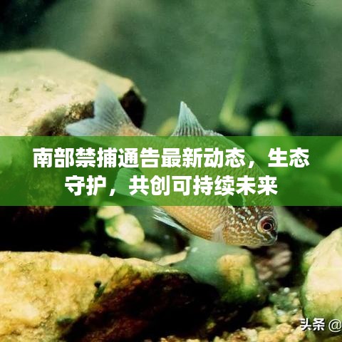 南部禁捕通告最新動態(tài)，生態(tài)守護(hù)，共創(chuàng)可持續(xù)未來