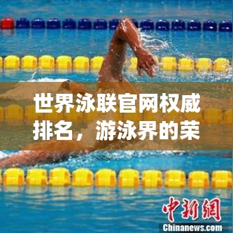 世界泳聯(lián)官網(wǎng)權(quán)威排名，游泳界的榮耀榜單，榮譽(yù)盡在其中！