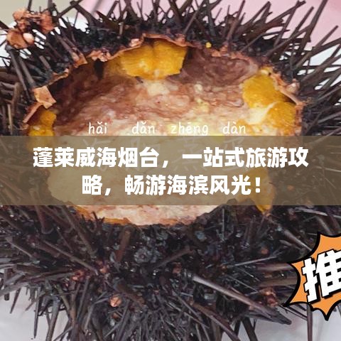 蓬萊威海煙臺(tái)，一站式旅游攻略，暢游海濱風(fēng)光！