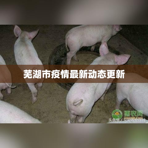 蕪湖市疫情最新動(dòng)態(tài)更新