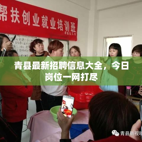 青縣最新招聘信息大全，今日崗位一網打盡