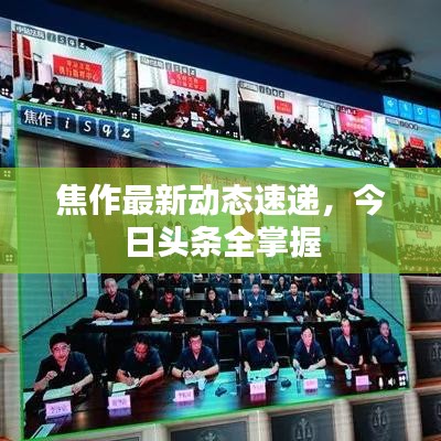 焦作最新動(dòng)態(tài)速遞，今日頭條全掌握