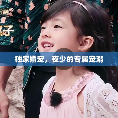 獨家婚寵，夜少的專屬寵溺