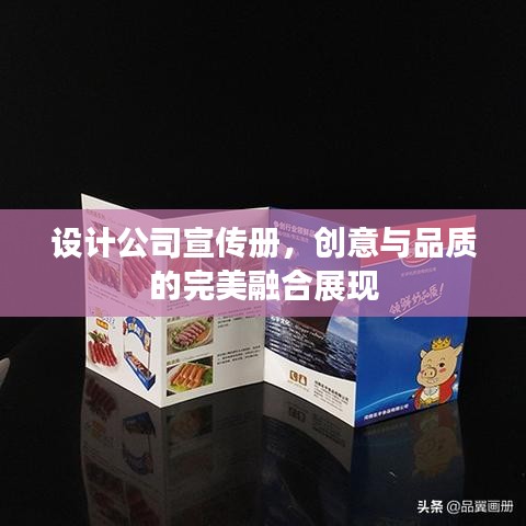 設(shè)計(jì)公司宣傳冊(cè)，創(chuàng)意與品質(zhì)的完美融合展現(xiàn)
