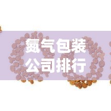 氮?dú)獍b公司排行榜TOP榜及行業(yè)深度分析