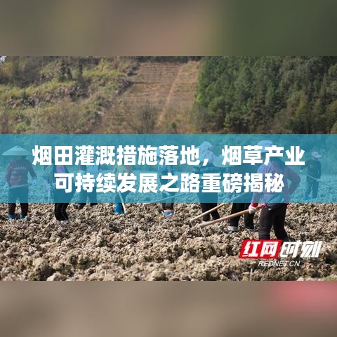 煙田灌溉措施落地，煙草產(chǎn)業(yè)可持續(xù)發(fā)展之路重磅揭秘
