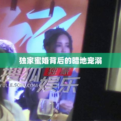 衣無二彩 第3頁